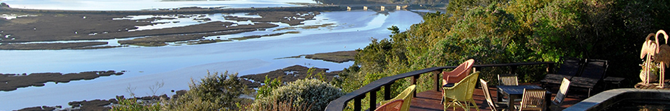 The Phantom Forest Eco Reserve