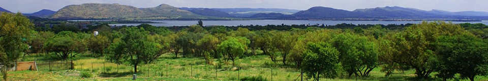 Three Oaks and an Aloe Boutique Hotel