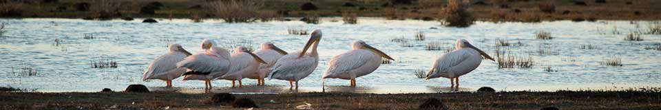 De Hoop Collection Nature Reserve