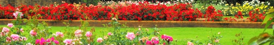 Johannesburg Botanical Garden