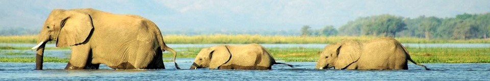 Airboat Afrika