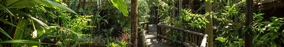 Umlilo Lodge