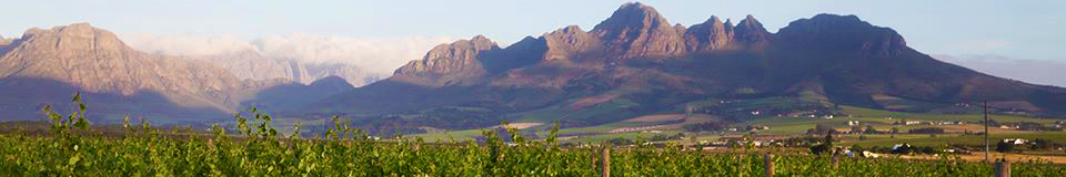 Spier Wine Farm