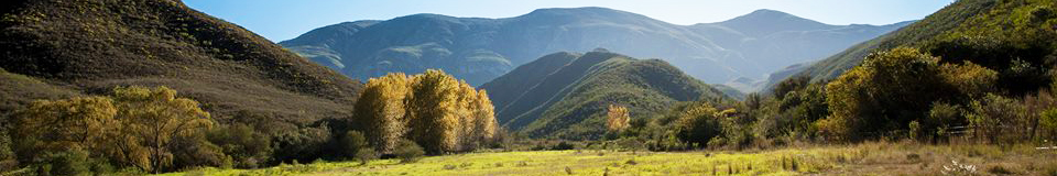Pat Busch Mountain Reserve