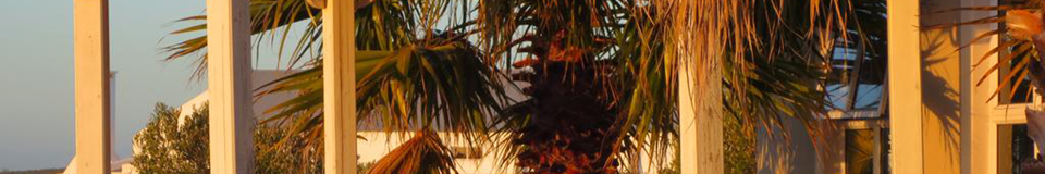 Masada Guest House B&B