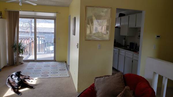 3rd Roommate Wanted photo 4