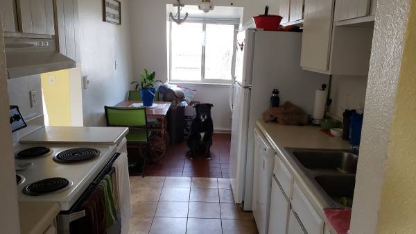 3rd Roommate Wanted photo 3