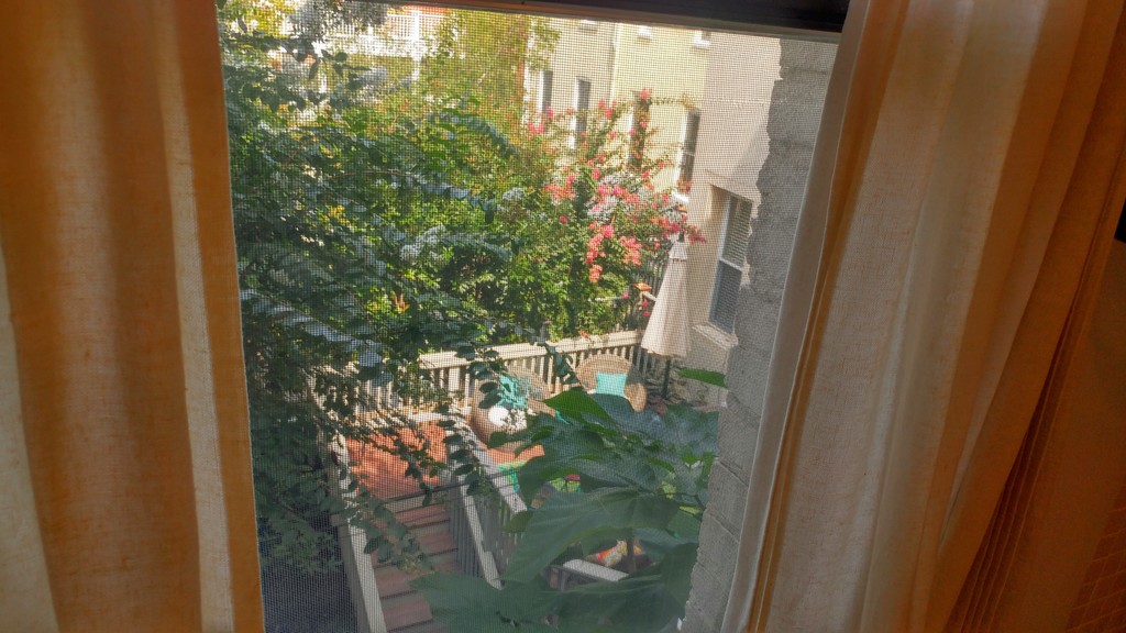 Cozy Hideaway in Ace Location | Heart of Dupont and U Street nightlife photo 3