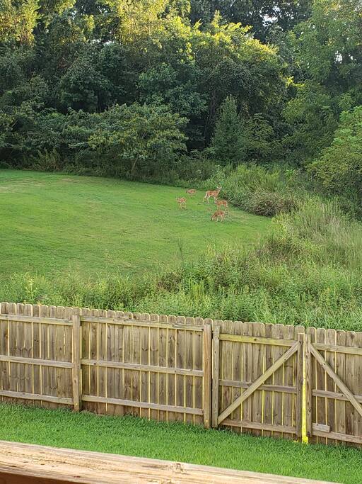 544 Tracy Ln. · ♔King Bed | 10 Miles to Campbell ♥ So Cute ♥ photo 4