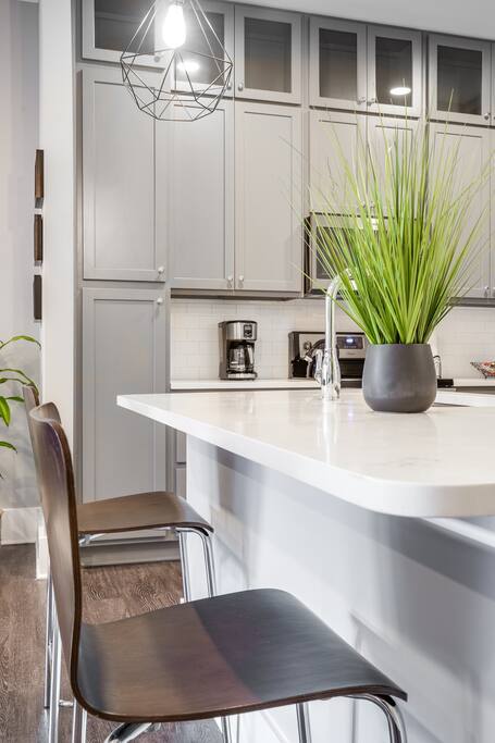 Luxury Apartment Near Emory Hospital & University photo 3