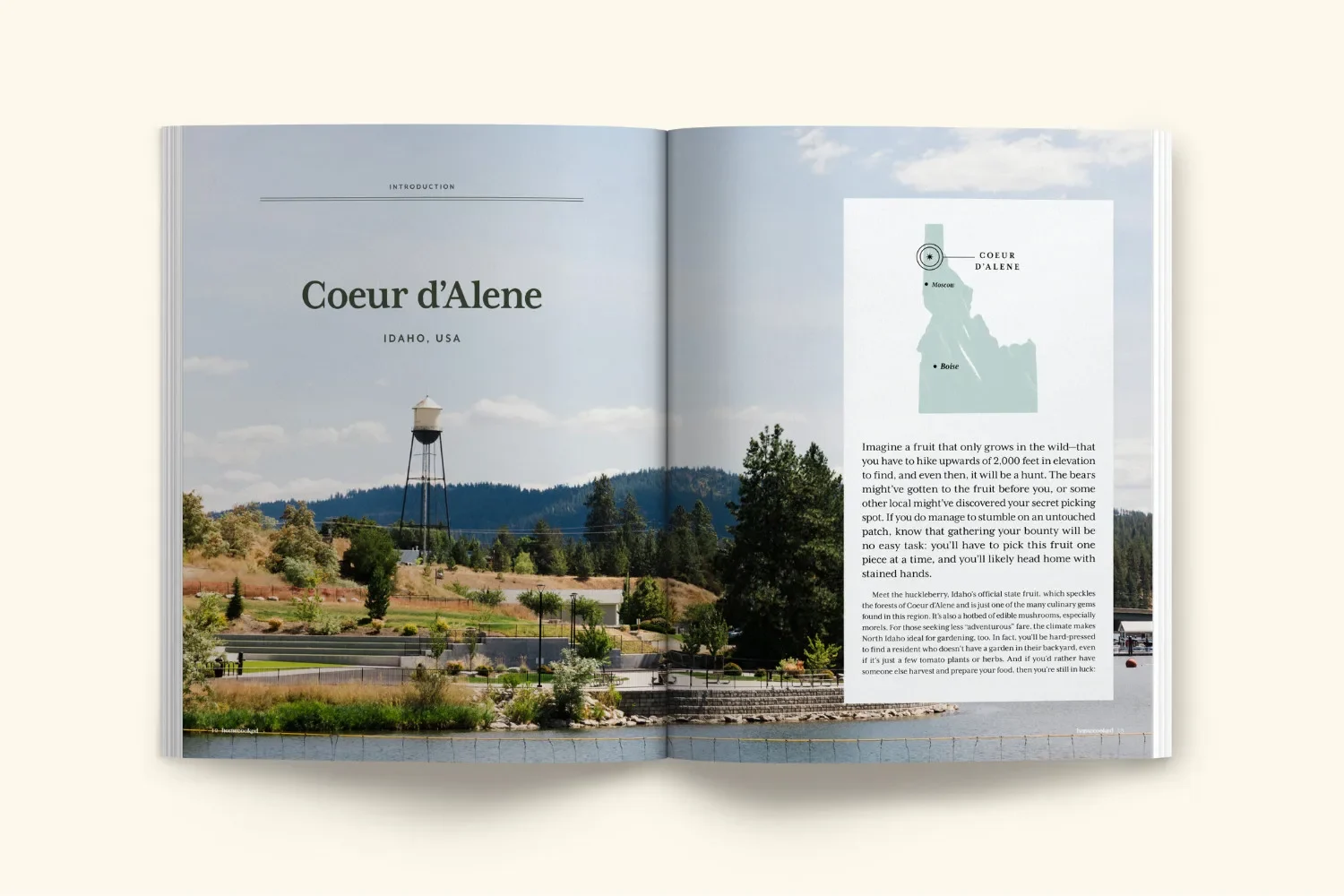 Newsletter- New Graphics - 2025-12-04T203004.085