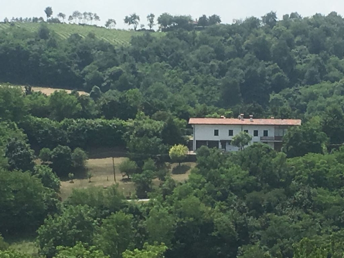 kostenlose kontaktsuche