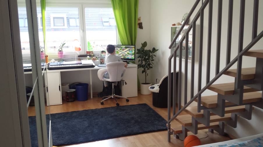 Home Exchange In Germany Nurnberg Cat Sitter Wanted 30th July 28th August 2021