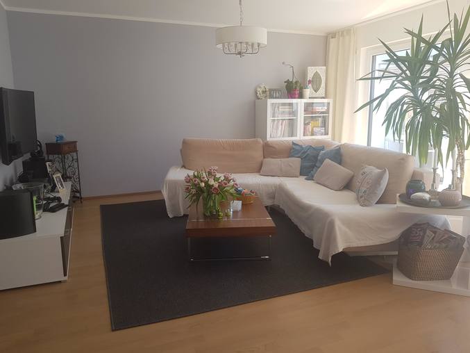 Home Exchange In Germany Nurnberg Cat Sitter Wanted 30th July