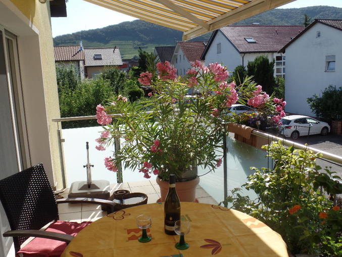 Home Exchange In Germany Schriesheim Appartment Near