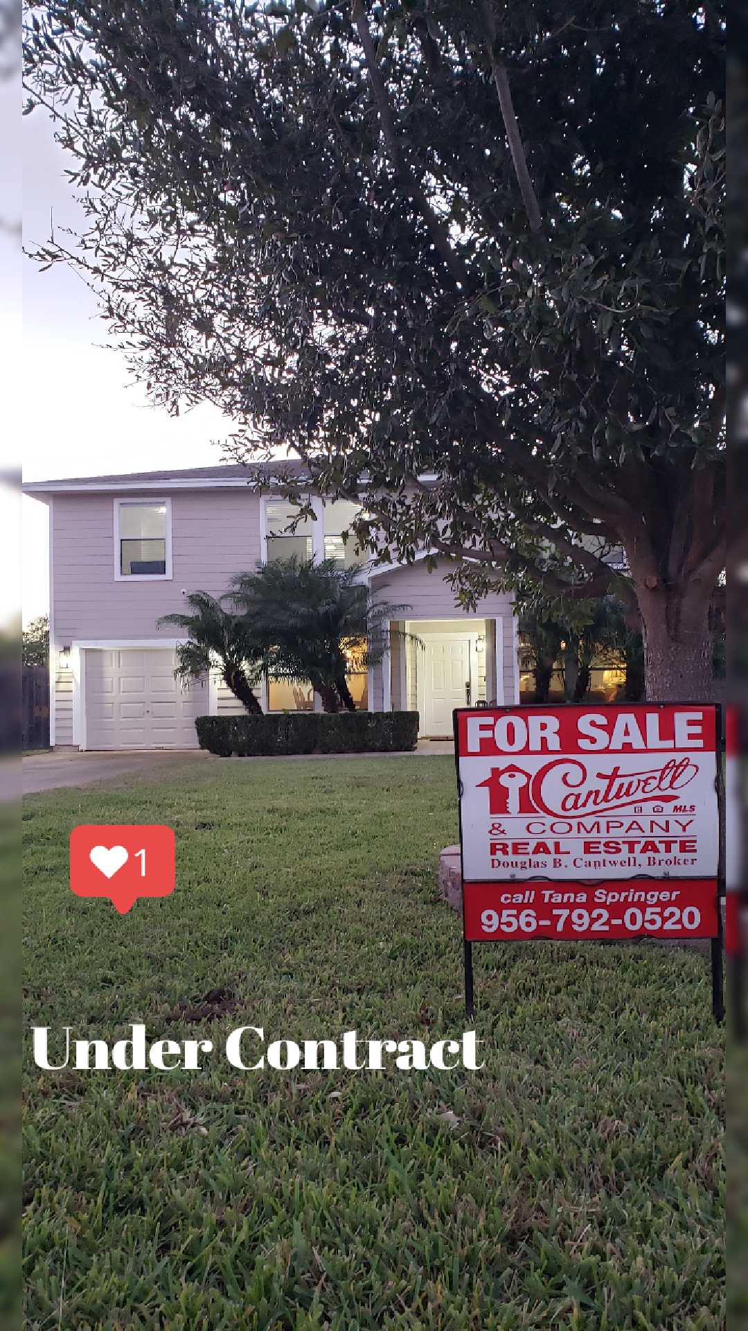 About Tana Springer EXP Realty