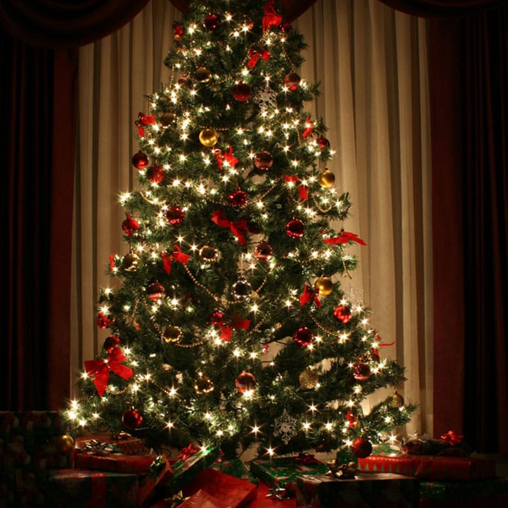 How To Make Your Own Christmas Tree Preservative Safe & Non Toxic How to make your Christmas tree last longer - How To Make Your Own Christmas Tree Preservative Safe & Non Toxic