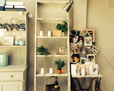 leaning ladder shelf by DapperDavesWoodshop