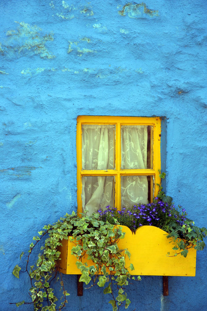 32 Stunning Flower Box Ideas & Arrangements