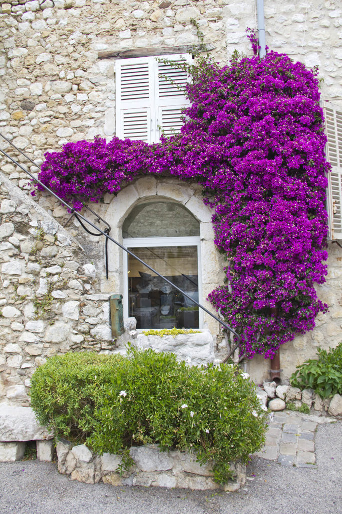 Using the same material as the outside of the house, especially in pale colors, can help the plants to pop out even more. Using the same material as the outside of the house, especially in pale colors, can help the plants to pop out even more.