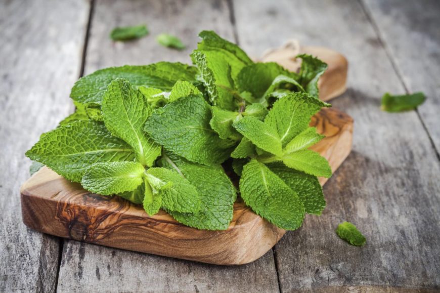 It's a little known fact that spiders absolutely hate peppermint. Seriously! The smell is extreme to the tiny creatures, meaning that it can be used as an easy way to keep creepy pests outside the home. The best method involves filling a spray bottle with peppermint essential oil and water, then spraying it around sensitive areas like doorways, attics, and basements. The best part is that you'll get a nice minty fresh scent to enjoy. It's a little known fact that spiders absolutely hate peppermint. Seriously! The smell is extreme to the tiny creatures, meaning that it can be used as an easy way to keep creepy pests outside the home. The best method involves filling a spray bottle with peppermint essential oil and water, then spraying it around sensitive areas like doorways, attics, and basements. The best part is that you'll get a nice minty fresh scent to enjoy.