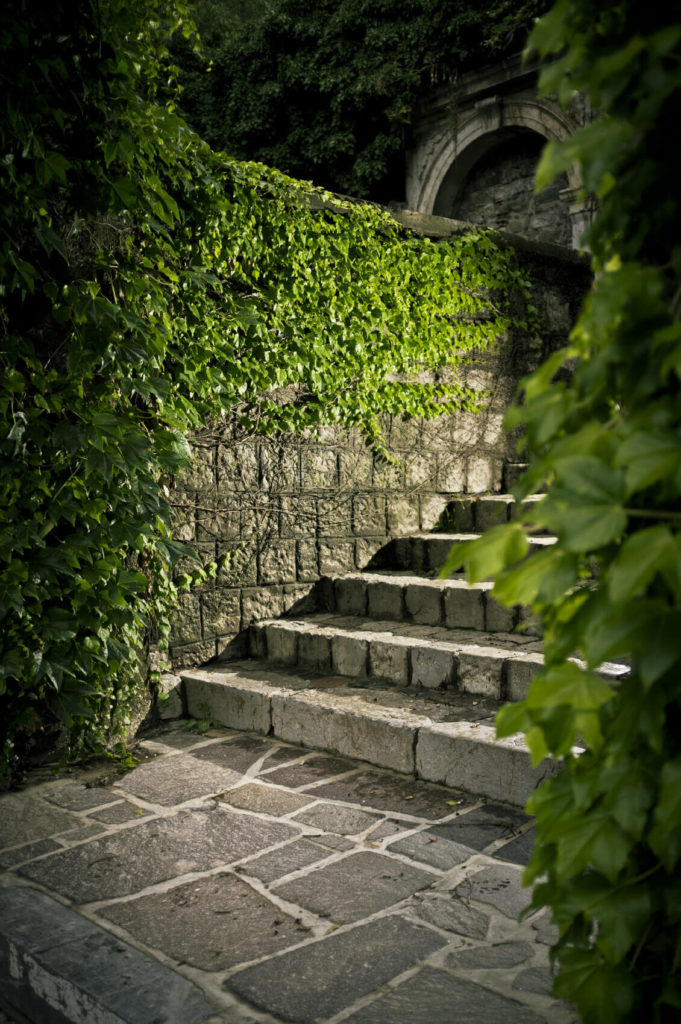 These stone steps have a castle-like appeal. The walls nearby are covered in vines which adds to the regal and historic appeal. You will feel like royalty traversing these regal steps. These stone steps have a castle-like appeal. The walls nearby are covered in vines which adds to the regal and historic appeal. You will feel like royalty traversing these regal steps.