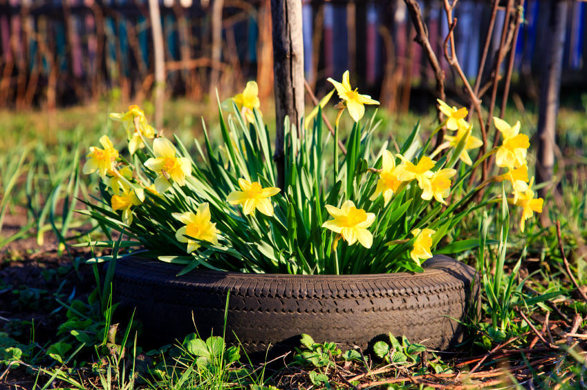 29 Flower Tire Planter Ideas for Your Yard (and Home) Home Stratosphere