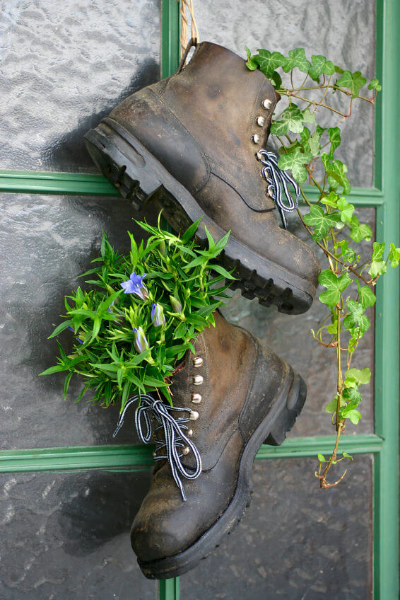 A pair of old mountain boots, still with the shoe laces tied halfway through, is seen dangling by the entrance of the house as they are secured by the handy loop at their back. One boot holds vining plants that conveniently glides down while the other holds a bunch of purple flowers as if it’s a regular vase.