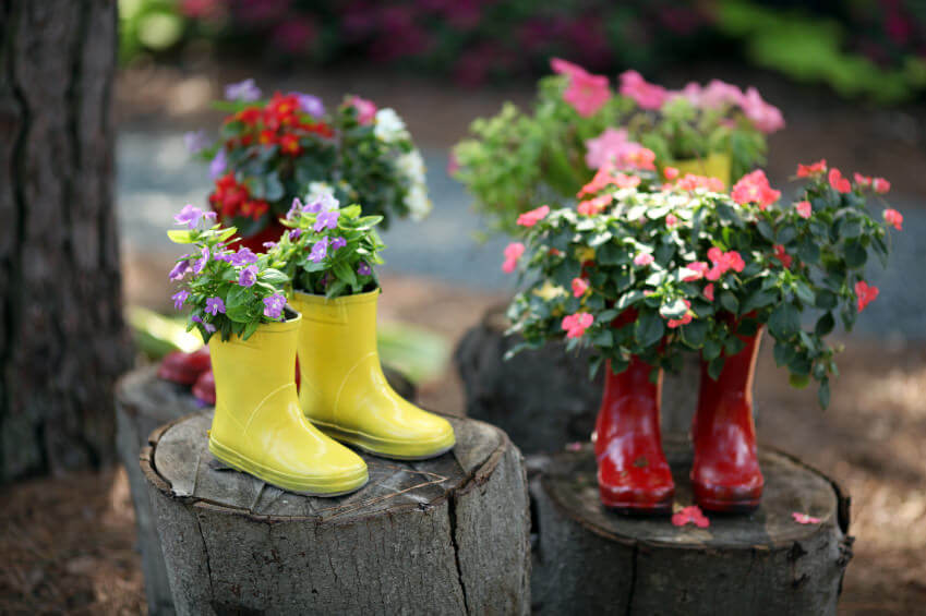 The pairs of yellow and red gumboots standing on a segmented tree trunk give an artistic feel. The brightly colored gumboots planters provide a playful contrast to the colorful flower plants and their lush green leaves.