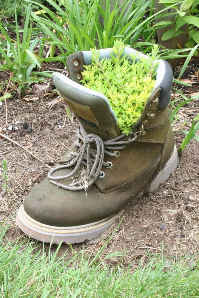 A soiled work boot looks just like it belongs in this outdoor part of the garden as it’s used as a planter to hold a bunch of herbs.
