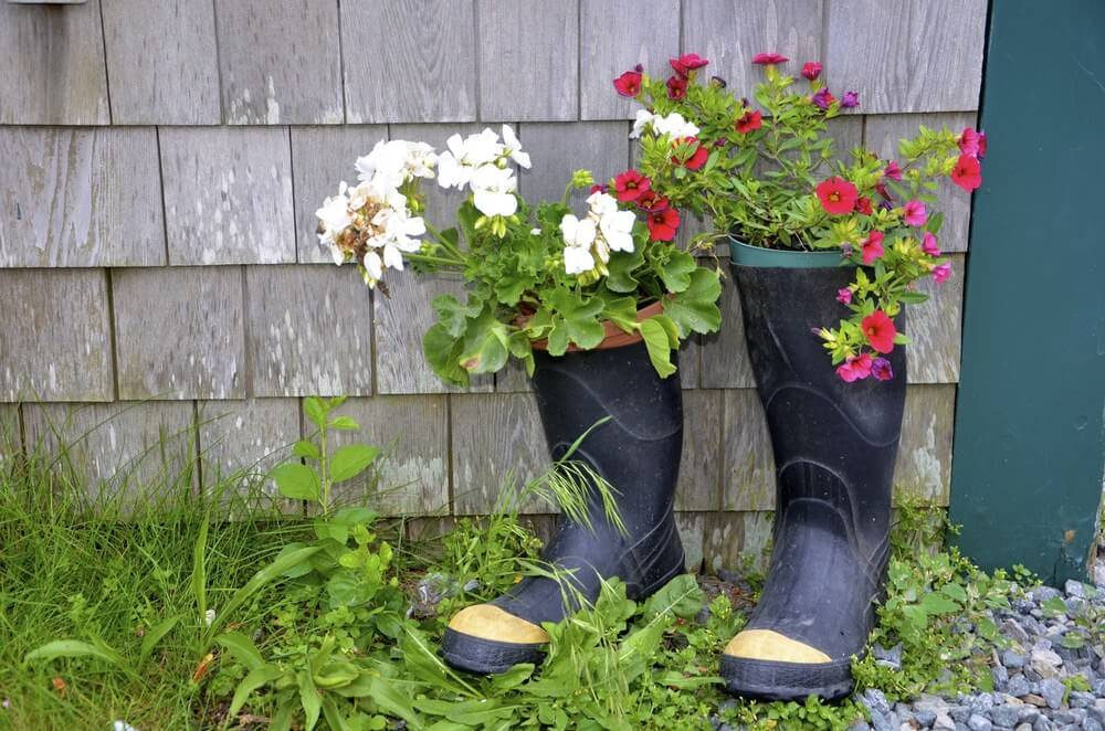 Colorful flowers in their old pots are placed inside this pair of black gumboots. The gumboots’ self-effacing color makes these colored flowers stand out even more.