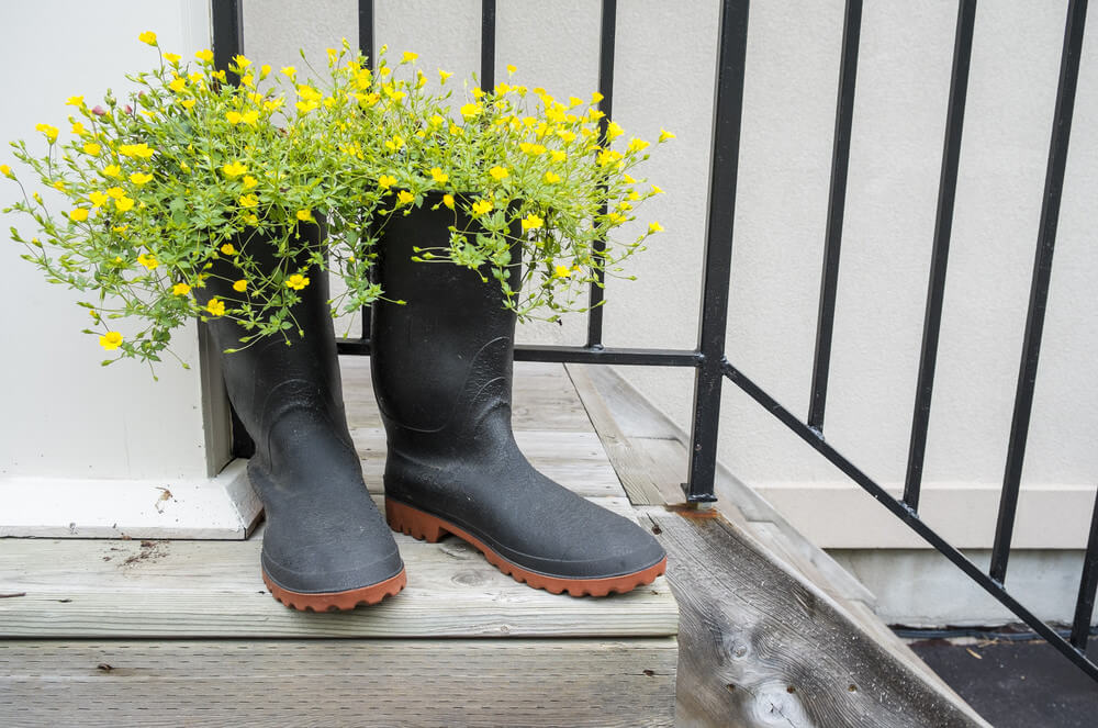 This pair of black gumboots used as planters for these sunshiny colored yellow flowers only proves that the simplicity of black can always spell elegance and a classy look.