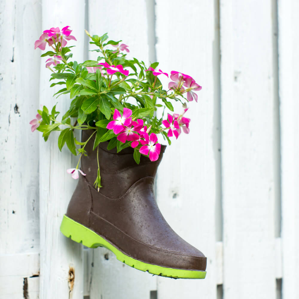 This rubber boot serves as a complimentary flower planter as it helps heighten the colors of the flowers in contrast to its backdrop of a white picket fence.