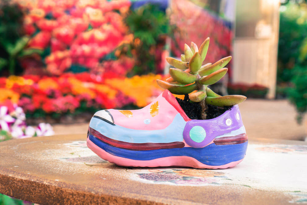 This child’s shoe painted with brilliant pastel colors used as planter to a singular plant takes center stage as it sits comfortably alone in its solitude.