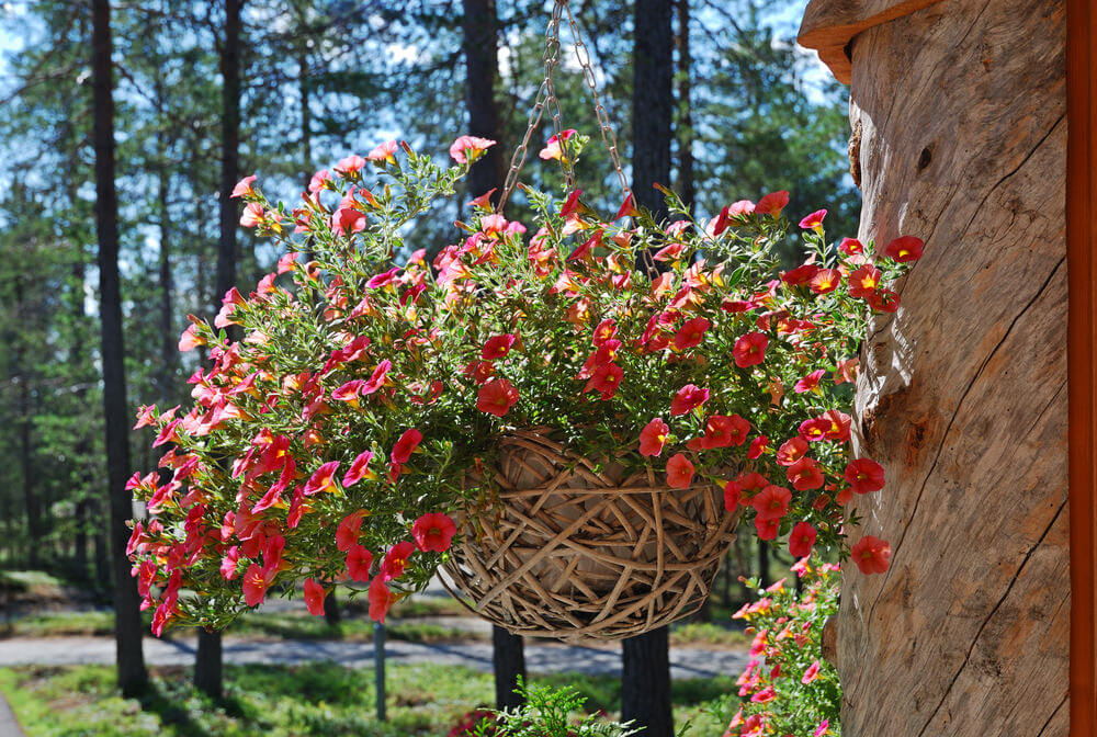 70 Hanging Flower Planter Ideas (PHOTOS and TOP 10) Home Stratosphere