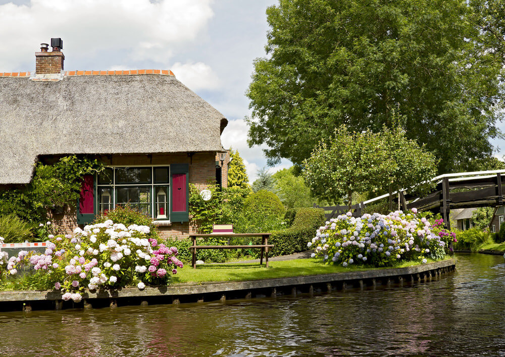 35 Hydrangea Garden Ideas (PICTURES) - Home Stratosphere