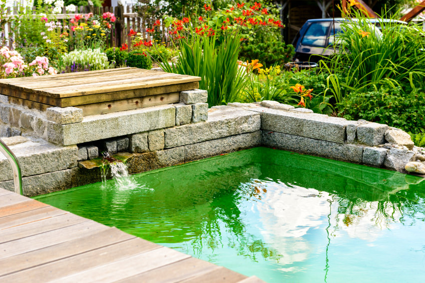 35 Backyard Pond Images (GREAT Landscaping Ideas)