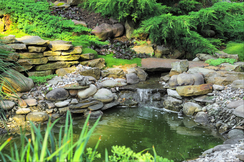 35 Backyard Pond Images (GREAT Landscaping Ideas)