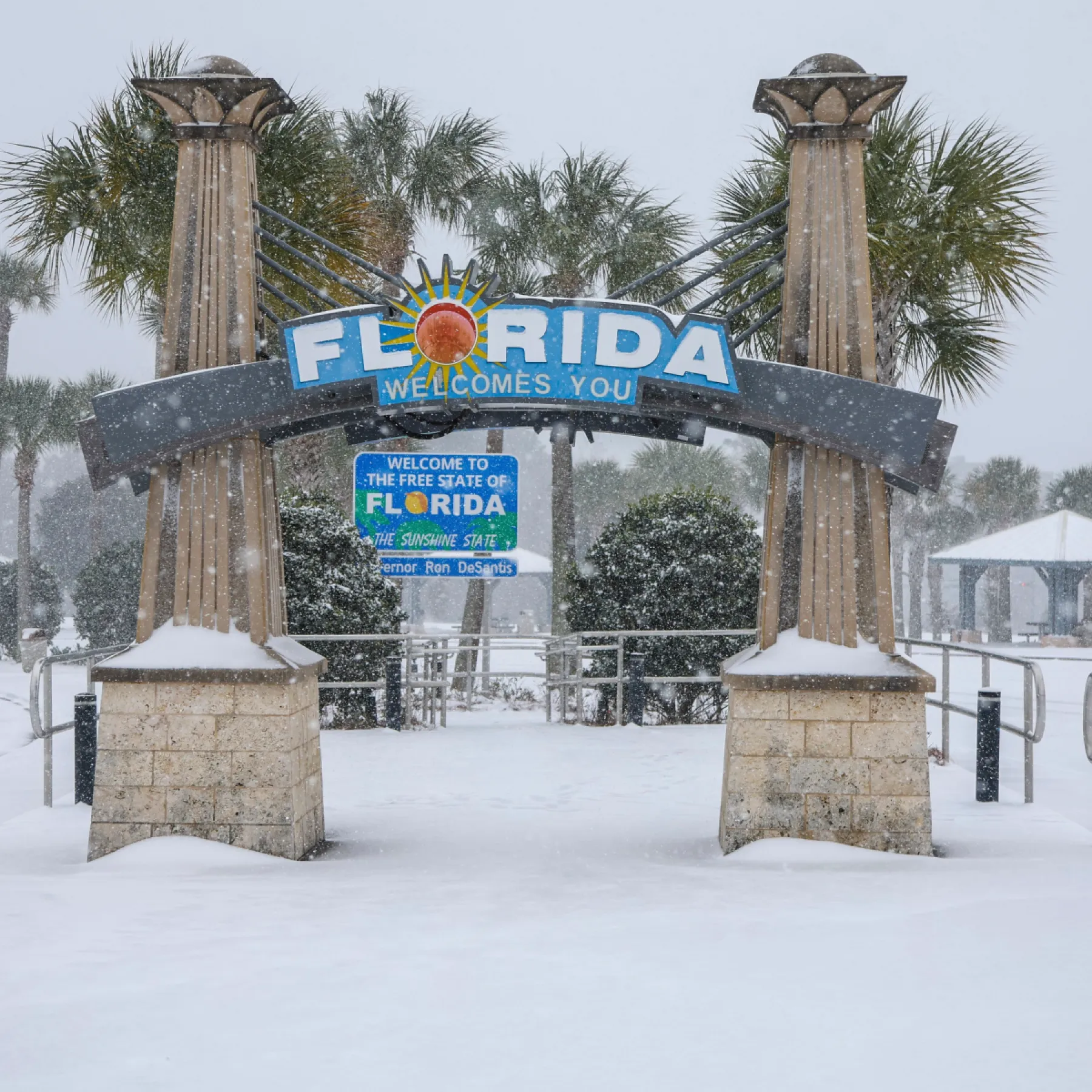 Florida Wintry Vibes cover art