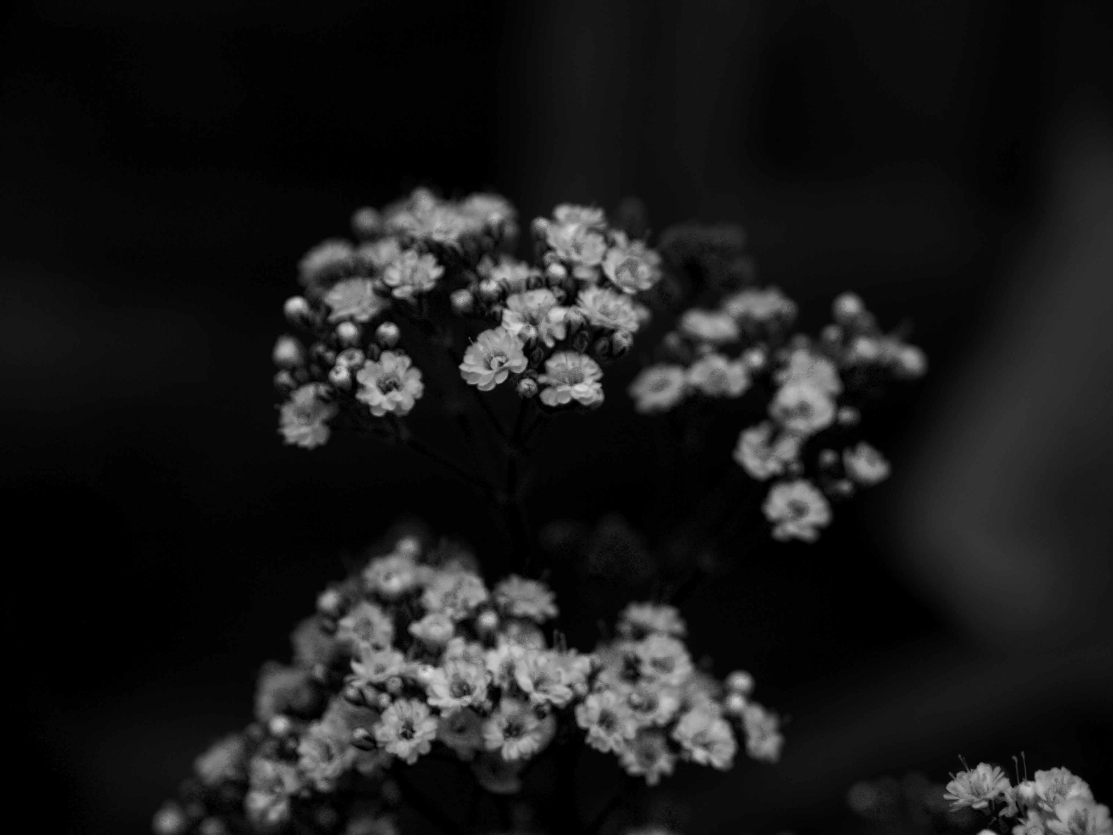 The Thousandth Side cover art