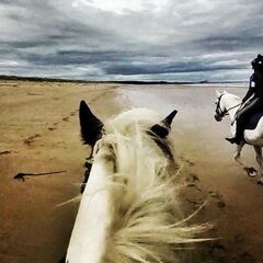 Bonnie riding on beach 1607351625