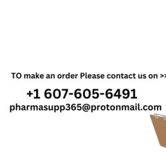 Copy of to order 1 1773125340