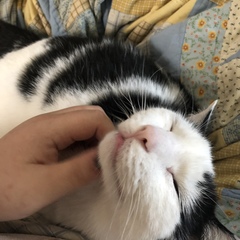 68cb0a74 5ab8 43fc ba63 8ccd7510400c