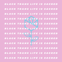 8e2d0a8e 6b82 430c 8ab1 b003cffa0c61