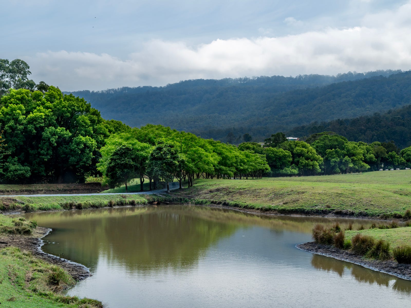 Horse Property For Sale Benobble Qld 4275