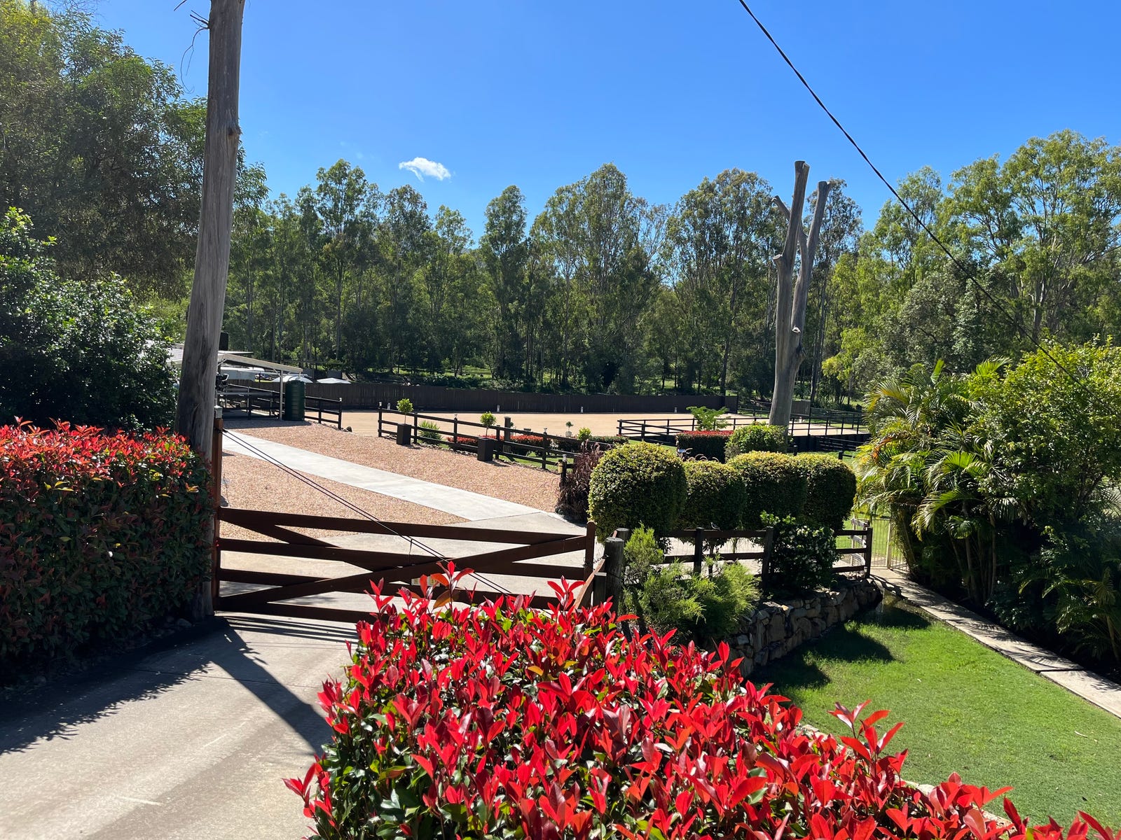 Horse Property For Sale Tamborine Qld 4270 97105 Palomino Road