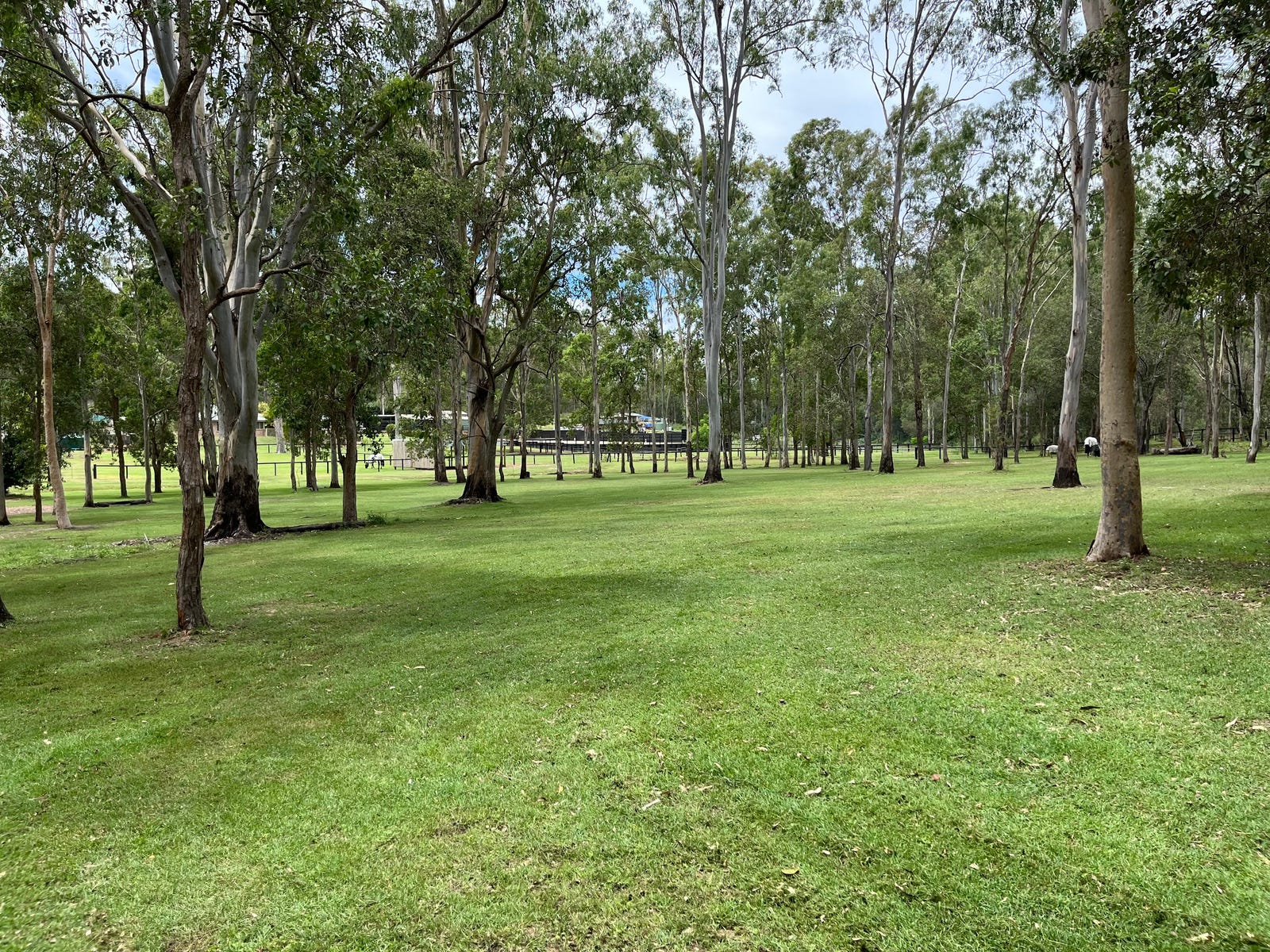 Horse Property For Sale Tamborine Qld 4270 97105 Palomino Road