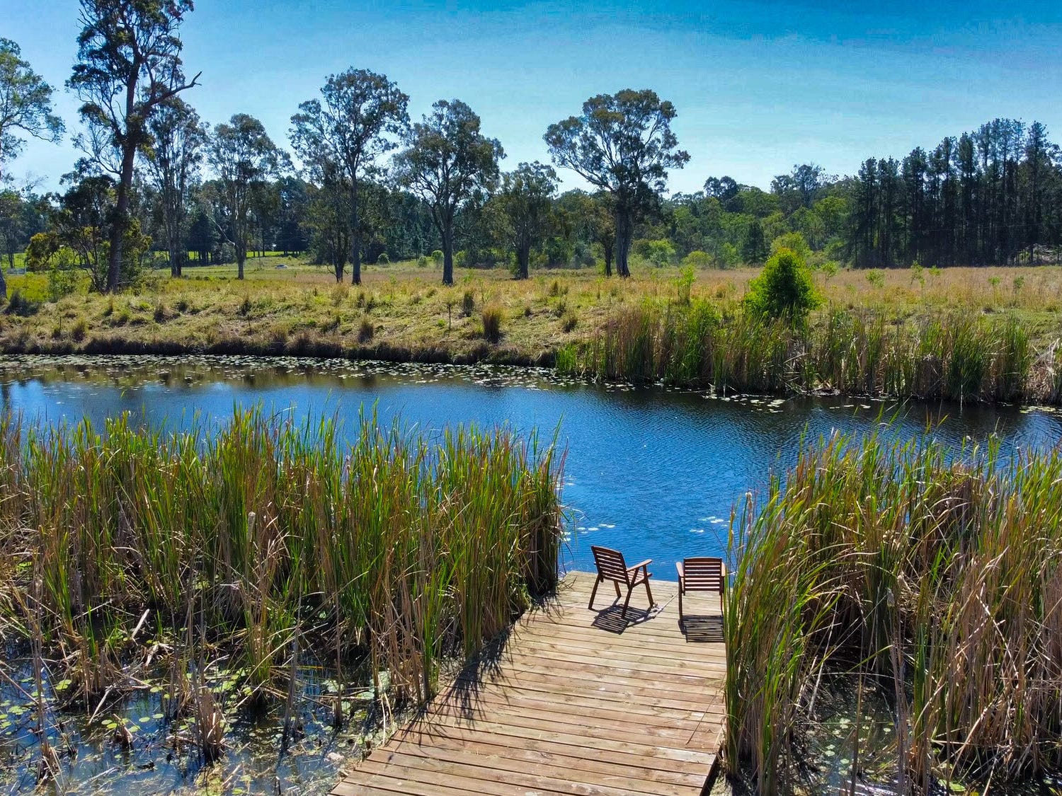 Horse Property For Sale Caniaba NSW 2480 144 Fredericks Road