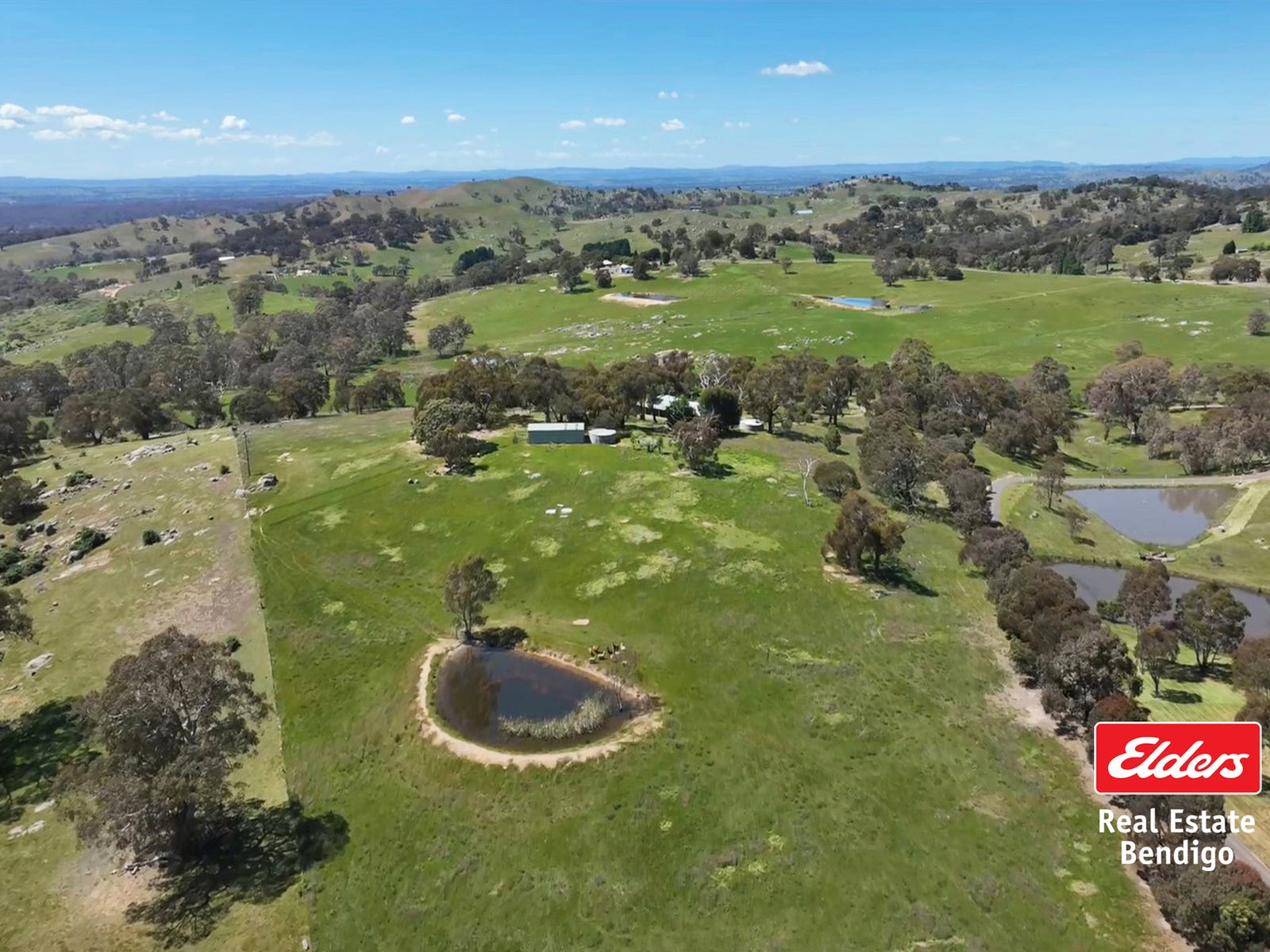Horse Property For Sale Harcourt North Vic 3453 69 Bryden Road
