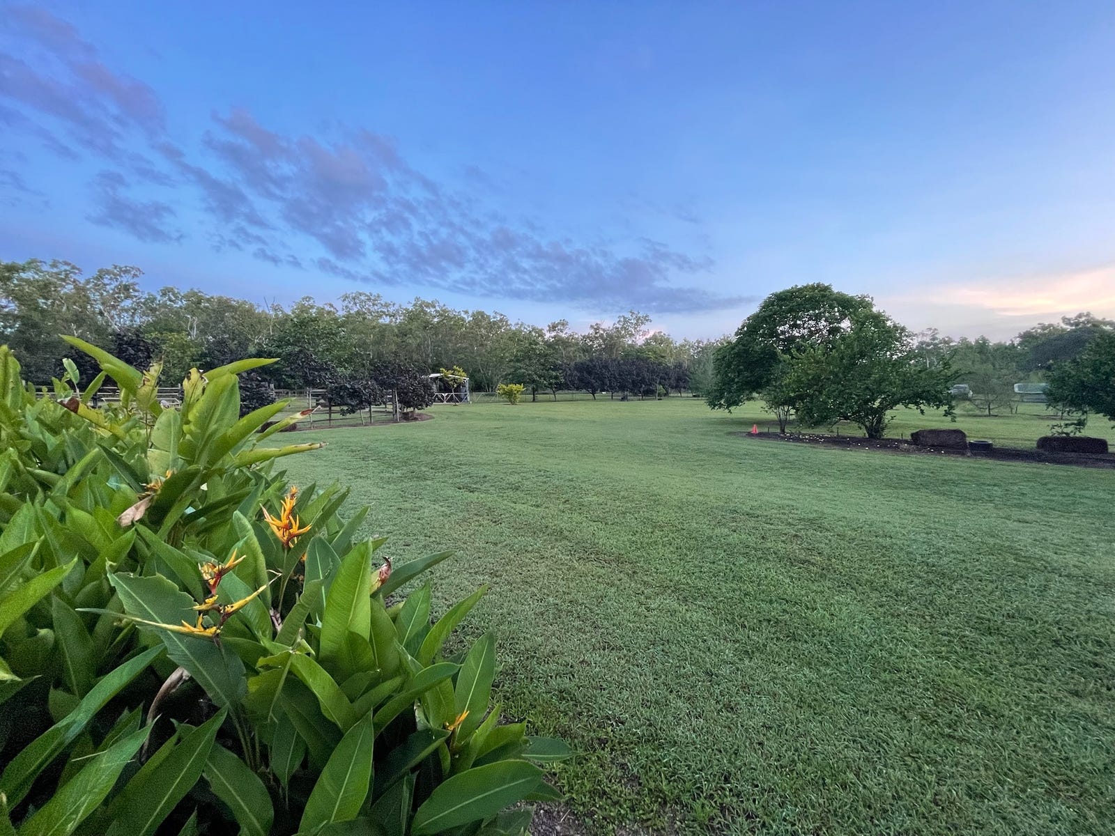 Horse Property For Sale in Humpty Doo, NT 0836